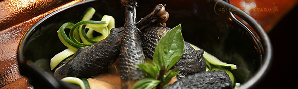 Black Meat Chicken Recipes